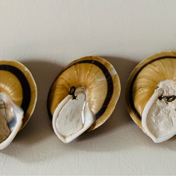 Sea Shell buttons - Picture 4 of 9